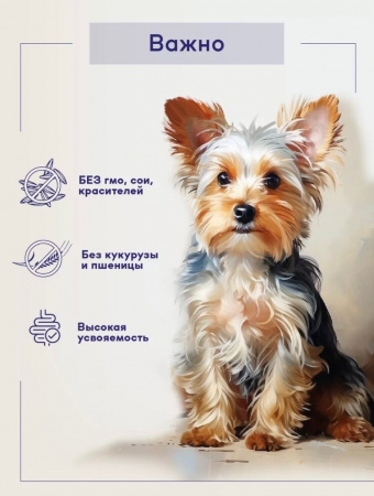 B&S CARE ADULT MINI Сухой корм д/собак мелких пород (индейка/ягненок) 3кг, BS207